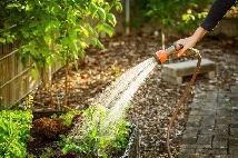 offering garden watering services