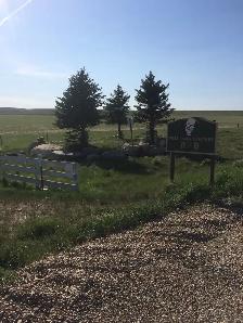 farm employee wanted