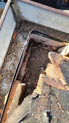 need new or repair or fix roof
