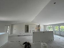 Hiring experienced painters