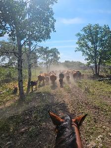 part time rider wanted