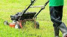 Looking For Lawn Care Pros, Landscapers & Gardeners