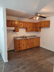 logement à louer 3 1/2 rue Denison O 3e étages 869$