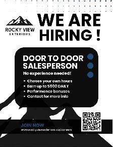 D2D Exterior Services Salesperson
