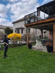 NO SIN $200 PER DAY windowcleaning job
