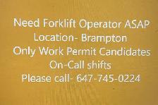 Need Forklift operator