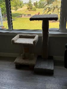 cat scratching stand perch