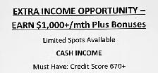 cash income