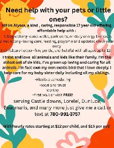 need a pet sitter or babysitter?