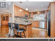 Painter's help