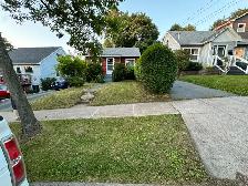 Lawn Care Services
