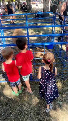 ISO Babysitter/Nanny