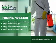 Join Our Team at Alberta Mold Pros – We're Hiring Abatement Tech