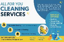 CLEANERS FOR HIRE