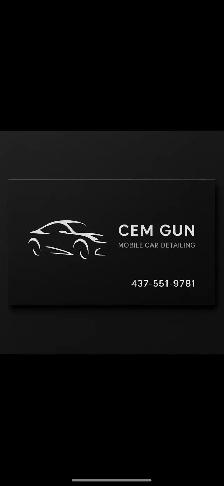 mobile car detailing