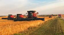 GRAIN FARM HELP WANTED – EP Farms (Fielding, SK)