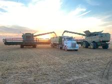 Farm Help