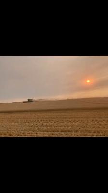 Grain cart operator