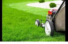 grass cutting / lawn care