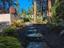 Landscaping services hedging/trimming