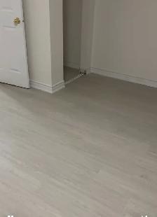 Need a Painter
