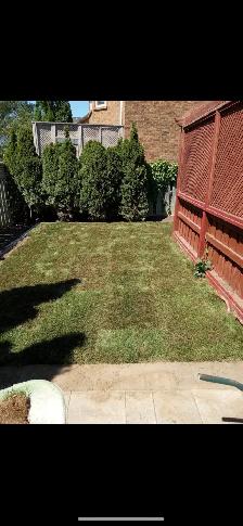 Landscaping and interlocking