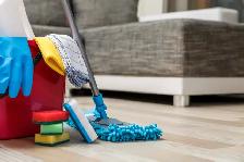 Need help with cleaning?
