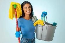$100 Airbnb Cleaner Needed ASAP TODAY