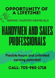 Professional Handyman and Sales Professionals Wanted