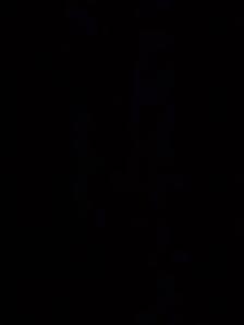 Hiring drivers with their own car for newspaper delivery