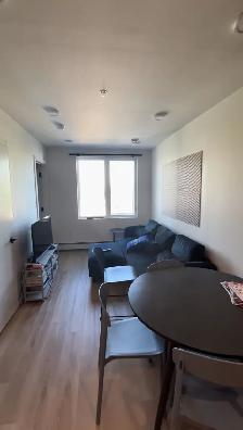 Roommate Wanted to take over a lease in January 2026