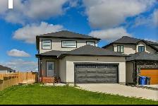 Room for Rent in praire pointe