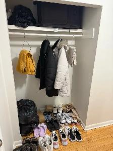 Bachelor suite for rent