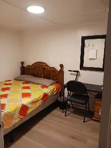 A brand new private day room with a queen-size bed