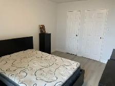 Room for Rent in Renovated Condo (Jan 1st)