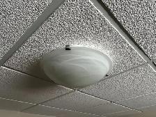 3 bulb ceiling light