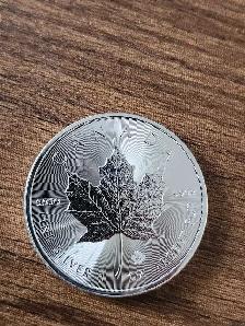 silver coin