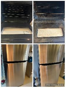 Professional Residential Cleaner