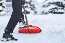 Labourer Needing Cash Work