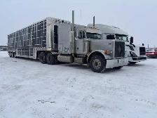 looking for shop rental