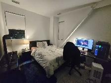 Room for Rent at Halo Apartments