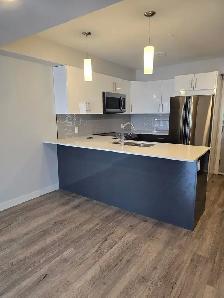 Subleting rent (Including parking spot)