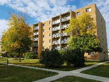 Spacious 1 Den & 2 bed suites EK area utilities and 1 parking