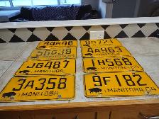 license plates