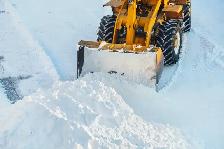 SNOW SHOVELERS NEEDED!