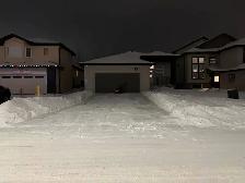 PROFESSIONAL SNOW REMOVAL