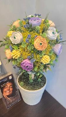 Dental Clinic Receptionist/Customer service specialist