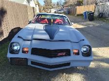 1981 z28