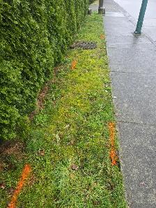 UNDERGROUND UTILITY LOCATORS (Subcontractors)