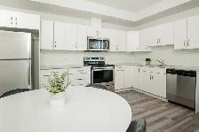 Spacious 2 Bedroom Apartment! Move in Ready!